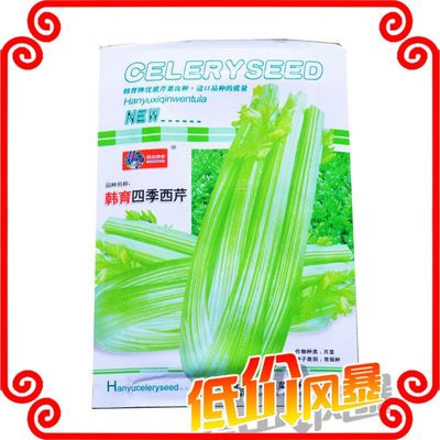 韩育四季西芹种子 优质蔬菜种子的正确选择与批发指南